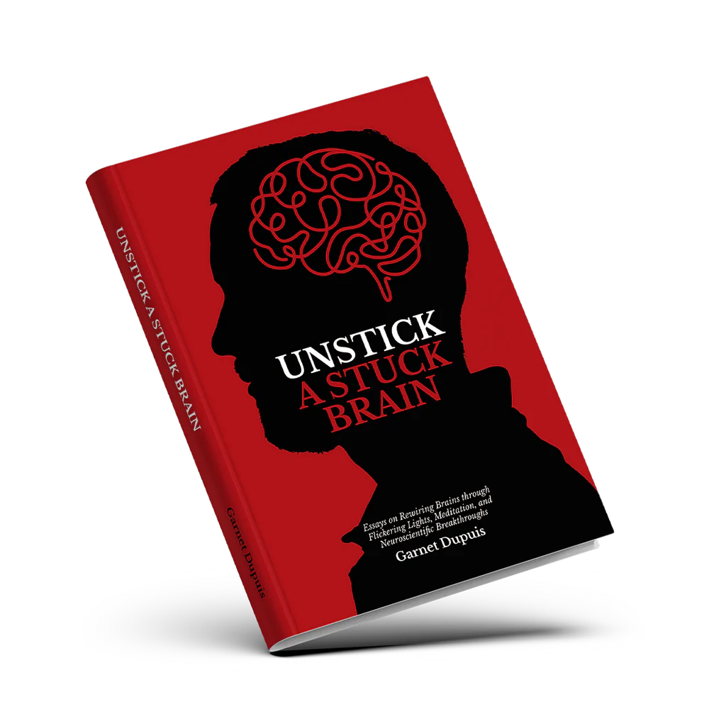 Unstick a Stuck Brain book by Garnet Dupuis